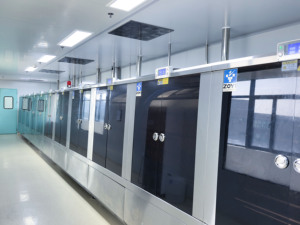 Koenzim Q10 500mg Yumuşak Kapsüller Yetişkinler İçin-Enerji Desteği Antioksidan Yorgunluğu Azaltır Sinir Sistemi Unisex 60 Kapsül/Şişe OEM Toptan Satış - Product Image 5