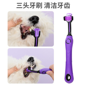 Ensemble de toilettage pour animaux de compagnie 9-en-1 en acier inoxydable pour chiens et chats : peigne à poils, ciseaux, peigne à picots, coupe-ongles, gants de protection pour pattes de chat, brosses - Product Image 5