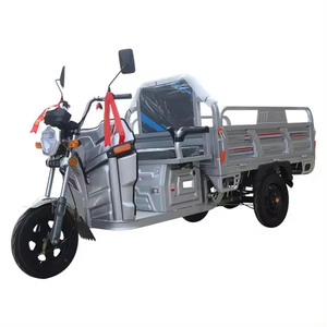 Triciclo eléctrico de carga pesada, motocicleta agrícola de <span class=keywords><strong>3</strong></span> <span class=keywords><strong>ruedas</strong></span> con motor de 1000W, rickshaw de 48V para pasajeros y carga, certificado EEC - Product Image 3