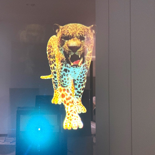 HOHOFILM 3d Holographic Rear Projection Screen