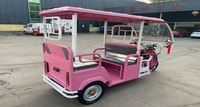 Tricycle électrique rose personnalisable avec auvent pour les visites d'hôtels et de parcs