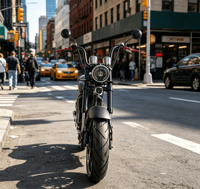 Scooter électrique DOT EEC à double siège E-Chopper Citycoco 2000W/4000W, autonomie de 60 km, trois vitesses réglables
