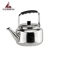 Bouilloire portable pour voyage, 250 ml, bouilloire de santé, style chaud