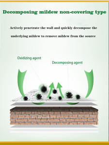 Machine à laver multifonctionnelle pour la salle de bain, agent de pulvérisation pour enlever la moisissure des murs. - Product Image 3