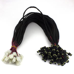 OEM ODM 2针防水插头52117-0241汽车后视镜转向灯线束 - Product Image 5