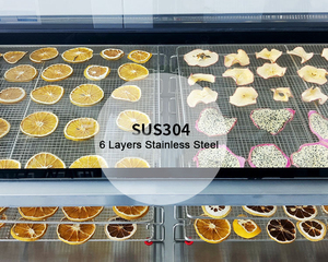 Horno de Aire Caliente a Gas de Ahorro Energético, Nuevo Modelo, Deshidratador de Verduras, Pescado, Carne y Frutas, SUS304 - Product Image 3