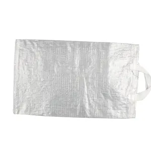 Saco pequeño de plástico tejido PP laminado de sal blanca de 25kg y 50kg para embalar bolsas tejidas PP con papel Kraft