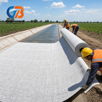 Bâche imperméable en bentonite, membrane géosynthétique en argile de haute qualité, auto-scellante, faible perméabilité pour le drainage des barrages en extérieur