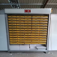 Nouvelle conception d'incubateur 3-en-1, couveuse et éleveuse combinées, alimentation en eau automatique, écran LED, certifié CE, utilisation domestique et commerciale