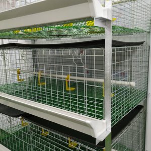 3 Tiers 4 Niveaux 60/80 Oiseaux Type H Batterie galvanisée à chaud Équipement pour poulets de chair Cages pour volaille ferme maison en Ouganda - Product Image 4