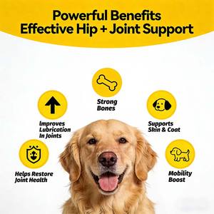OEM/ODM High <b>Protein</b> Dog/Cat Muscle Builder Soft Chews Fast <b>Weight</b> <b>Gain</b> Muscle Growth Immune Support Customizable Formula - Product Image 5