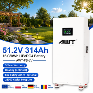Batteria LiFePO4 Verticale <span class=keywords><strong>AWT</strong></span> 51.2V 15kWh 16kWh con Celle EV di Grado A, BMS JK Smart che Supporta oltre 8000 Cicli per Sistemi Solari - Product Image 1
