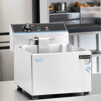 Nouveau Type 220V en acier inoxydable Mini friteuse électrique commerciale Friteuse électrique industrielle