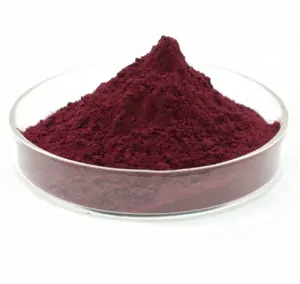 99% Pure Natural Water Soluble Purple Black Carrot Powder