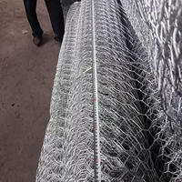 Petit treillis galvanisé à mailles fines pour cage à oiseaux, filet hexagonal pour la lutte antiparasitaire DIY