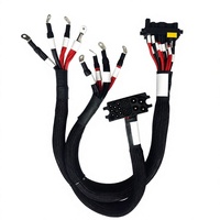 Rangkaian Kabel Harness Server AI dan Penyimpanan Energi Baterai Khusus, Konektor Daya BESS dengan Terminal Cincin