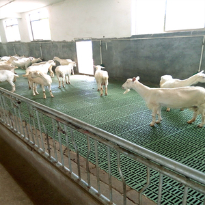 Tablero de estiércol de cerdo de plástico compuesto <span class=keywords><strong>BMC</strong></span> de 110*70cm de alta calidad, nueva condición, placa de estiércol a prueba de fugas, equipo de cría de animales - Product Image 6