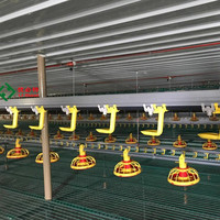 Nouvelles cages à poulets automatiques de type H pour l'élevage avicole avec mangeoire et abreuvoir, équipement d'élevage de poulets