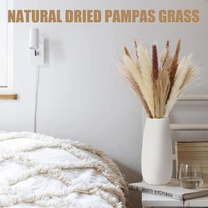 AYOYO OEM Hierba de Pampa Estilo bohemio Flores secas 85 PIEZAS Combinación de 5 colores Decoración de la boda del hogar - Product Image 2