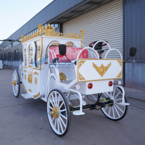 Charrette royale électrique blanche de style européen la plus populaire, pour le tourisme et les mariages, 4 roues motrices, 4-6 personnes, à vendre - Product Image 6