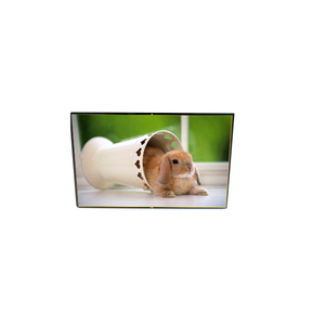 Advanced Original LP116WSA-TLA1 11.6 inch 1024*600 TFT 262K LCD Display Screen - Product Image 1