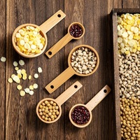 Ensemble de cuillères doseuses en bois naturel, kit de 5 cuillères en bambou pour poudre de matcha, café, protéines et ingrédients de pâtisserie