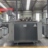 Na Chuan High Voltage Transformer 11kv Oil Cooling Type Distribution Transformer 250kVA with CE Certification