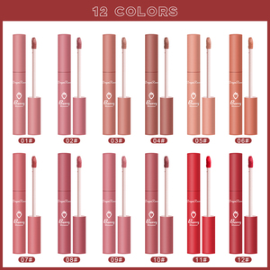 Ensemble de gloss à lèvres nude 12 couleurs de haute qualité, crayon à lèvres velours naturel longue tenue 24h, waterproof, certifié MSDS, rouge à lèvres liquide populaire 24h - Product Image 4