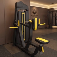Équipement de musculation de haute qualité, directement de l'usine, pour salle de sport commerciale et usage domestique, machine verticale pour le dos avec garantie