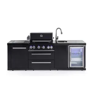 CE Certs europa American Outdoor senza fumo in acciaio inox 6 fuochi Grill a Gas Barbecue a Gas