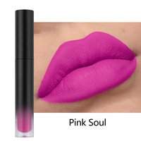 Gloss à lèvres liquide mat style occidental, non desséchant, résistant au transfert, vente en gros