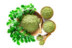 Poudre de feuilles de Moringa de qualité alimentaire, extrait végétal séché à l'air chaud, riche en chlorophylle, utilisable toute l'année - Product Image 5