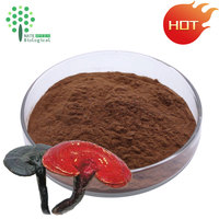 Groothandel Bulk ISO-gecertificeerd Biologisch Reishi Paddenstoel Extract Poeder met Oplosmiddelextractie 30% Polysaccharide Trommelverpakking