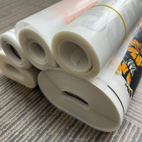 Autocollant thermocollant personnalisé en vinyle PET Plastisol pour vêtements, imperméable, lavable, durable, motif dessin animé, vente en gros