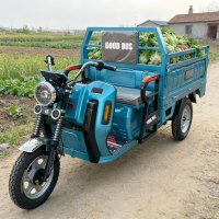 Triciclo Eléctrico de Carga Pesada para Huertos, con Gran Plataforma de Carga, Venta al Por Mayor