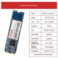 SSD SATA Internal Baru M.2 (SATA) SL700 Seri Treasure Tipe Board 2280
