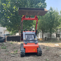 Nouvelle Chargeuse Compacte Mini T800 Améliorée sur Chenilles pour le Transport de Débris et de Gravier