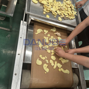 Advanced Ginger Slice Tunnel Dryer Ginger Dehydrator Equipment Ginger Slice Microwave Drying Machine - Product Image 1