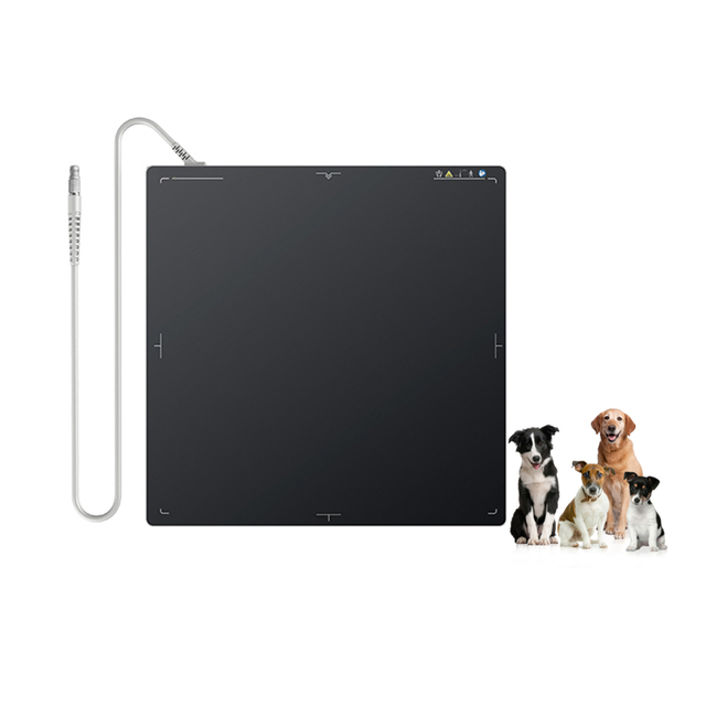 Iray Flat Panel Detector Digital Wireless 17 * 17-inch Cassette-size X-ray Flat Panel Detector for DR System