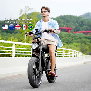 Vélo électrique à <span class=keywords><strong>prix</strong></span> de gros, vélo électrique à pneus larges de 1000 W, vélo électrique longue portée, vélo électrique adulte à 7 vitesses - Product Image 2