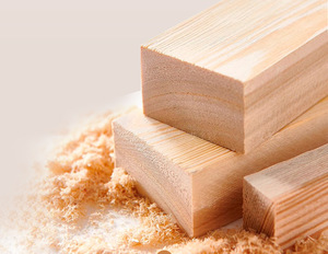 Bestseller Tragbare Klappbare Schönheits-Akupunkturliege Moderne Salonmöbel für Diagnose Behandlung Massagetisch Holz - Product Image 5