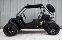 Buggy pour adolescents Trail Blazer Manufacturing, chaîne à gros couple, moteur 4 temps, frein à disque hydraulique, son moteur magnifique