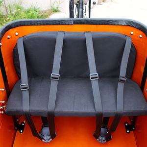 Tricycle électrique pour adulte Hollande aux normes de l'UE/bakfiets/<span class=keywords><strong>cargobike</strong></span> Bakfiet remorque E-cargo Bike boîte de chargement à chargement frontal - Product Image 5