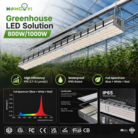 Solution LED pour serre commerciale IP65 800W/1000W, barre lumineuse de culture à spectre complet, rouge intense, gradation 0-10V, canal unique, PPE3.6 MAX