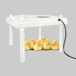 Sicurezza e Comfort piastra riscaldante per pulcini per animali domestici riscaldatore per pulcini di 20 capacità attrezzature per l'allevamento di pollame - Product Image 2