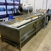 Machine polyvalente de nettoyage de légumes à bulles à haut rendement et laveuse de fruits pour usage industriel