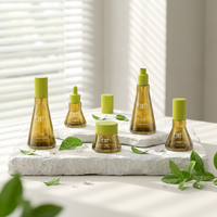 Ensemble de soins de la peau anti-acné et éclaircissant à l'arbre à thé, kit facial coréen biologique végétalien avec sérum aux herbes, étiquette privée personnalisée OEM/ODM