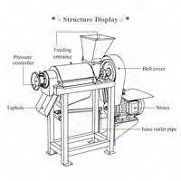 Industriële Mangosap Extractor Zoete Watermeloen Juicer Fruitpulp Commerciële Koude Pers Procesmachine