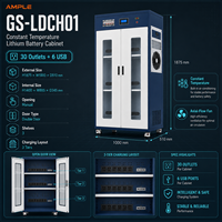Armoire de gestion de batteries au lithium à température constante, double porte, 3 niveaux, 30 prises, 6 ports USB pour entrepôt d'usine
