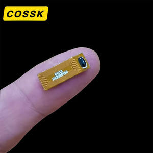 ISO14443A Chip Tag NFC FPC Kecil RFID Tahan Air Kartu Keanggotaan Kartu Bisnis Pembayaran Hotel Mini 13.56MHz Stiker Tag Label - Product Image 1